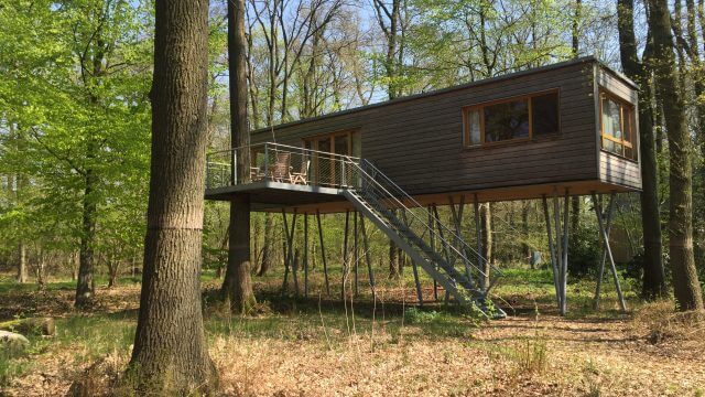 Als NDR-Reporterin im Baumhaushotel